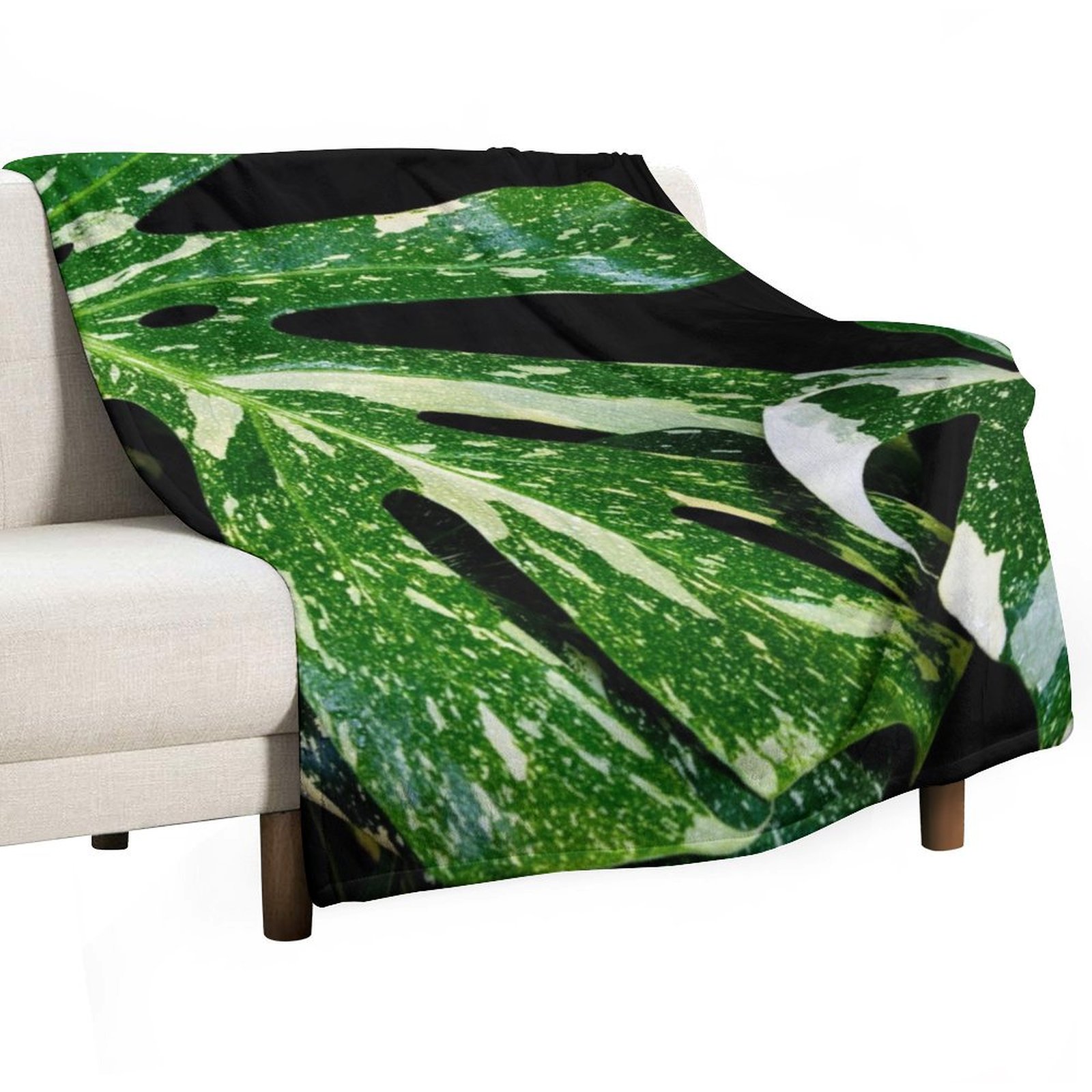 ผ้าห่มลายโมนสเตอร่า ไทย คอนสเต - Monstera Thai Constellation บทวิจารณ์และราคา