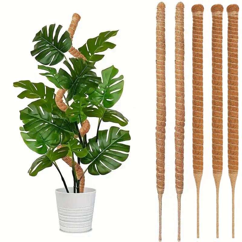 เสาไม้เลื้อยแบบโค้งงอได้ สำหรั - Monstera Thai Constellation บทวิจารณ์และราคา