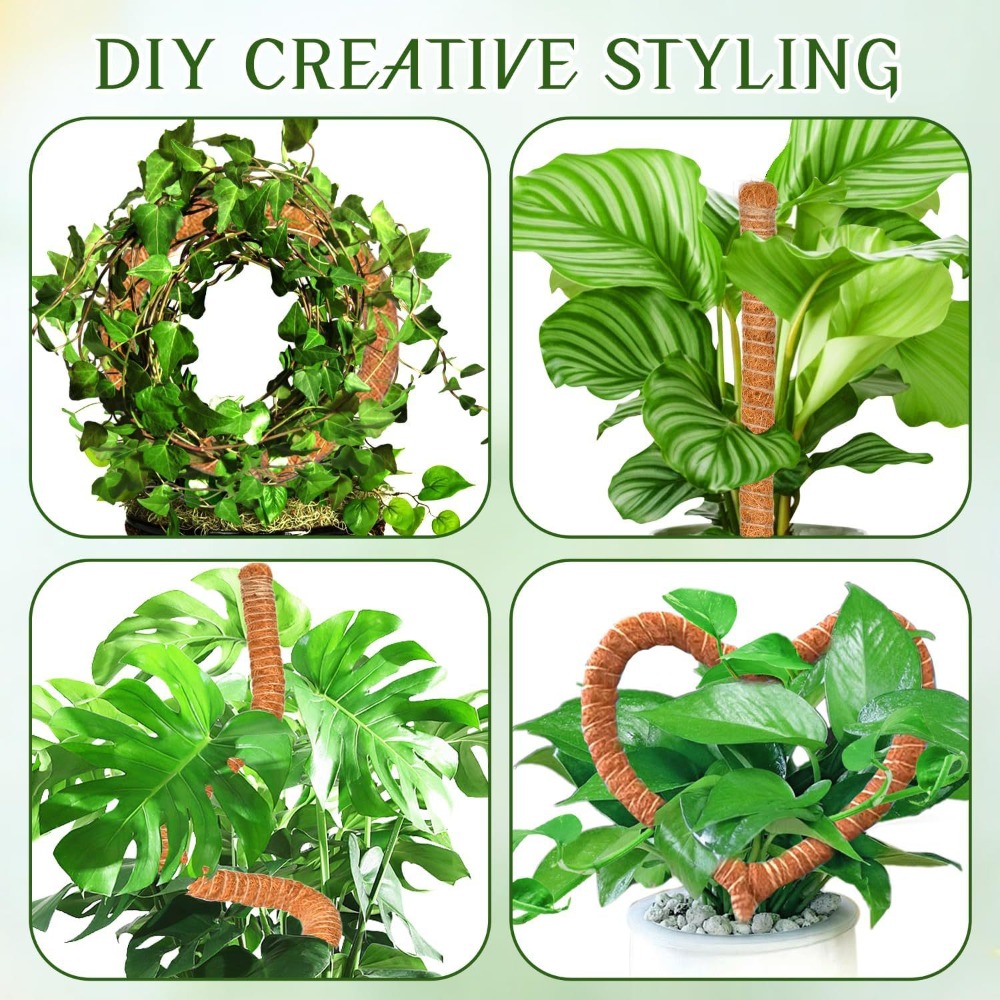 เสาไม้โคกยืดหยุ่นขนาด 30-100 ซ - Monstera Thai Constellation บทวิจารณ์และราคา