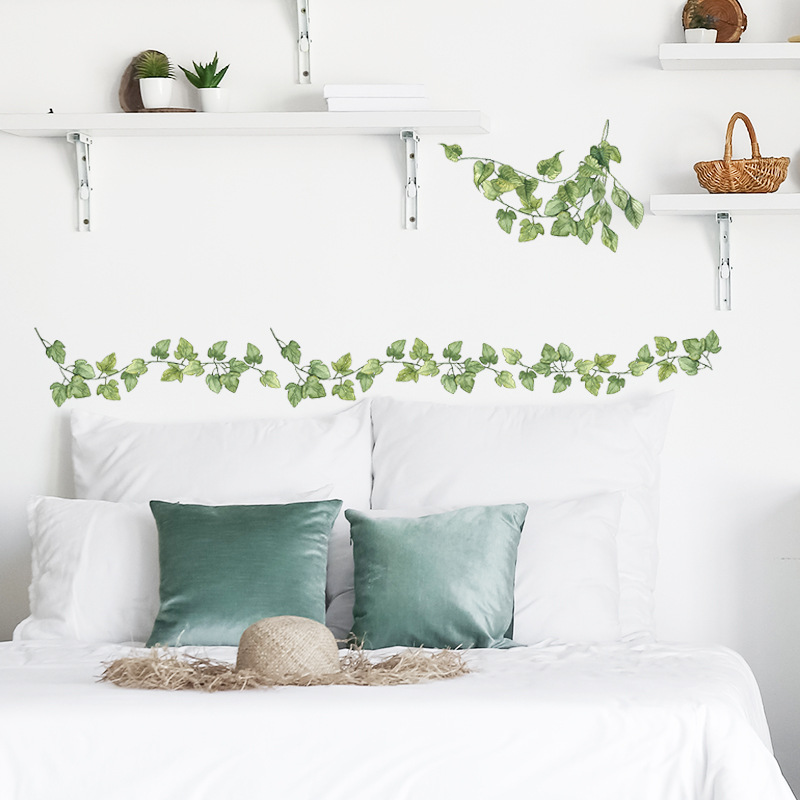 1pcs สีเขียวสดขนาดเล็กใบห้องนอ - Monstera Thai Constellation บทวิจารณ์และราคา